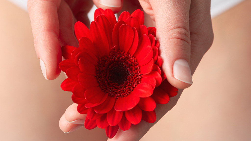 The fibroid uterus what it means